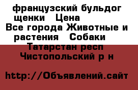 французский бульдог щенки › Цена ­ 50 000 - Все города Животные и растения » Собаки   . Татарстан респ.,Чистопольский р-н
